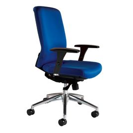 Comprar Sillón profesional Auryn con brazos color negro
